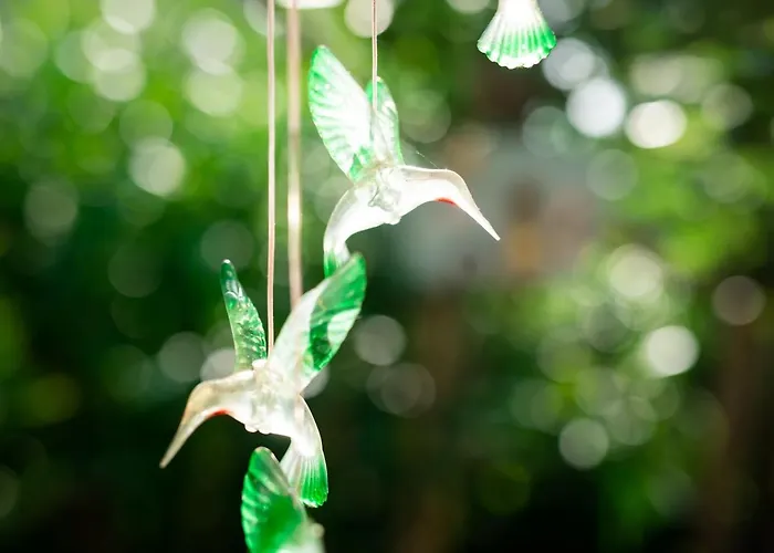 Due Sorelle 住宿加早餐酒店 锡罗洛