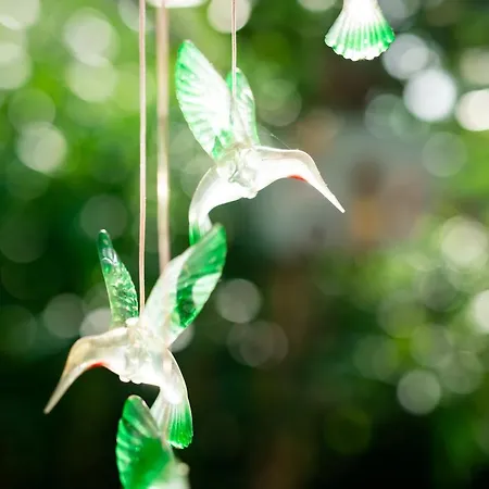 Due Sorelle Couette-café Sirolo