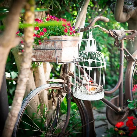 Bed & Breakfast Due Sorelle Sirolo